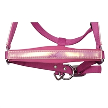 Harry\'s Horse halsterset Diva Violet